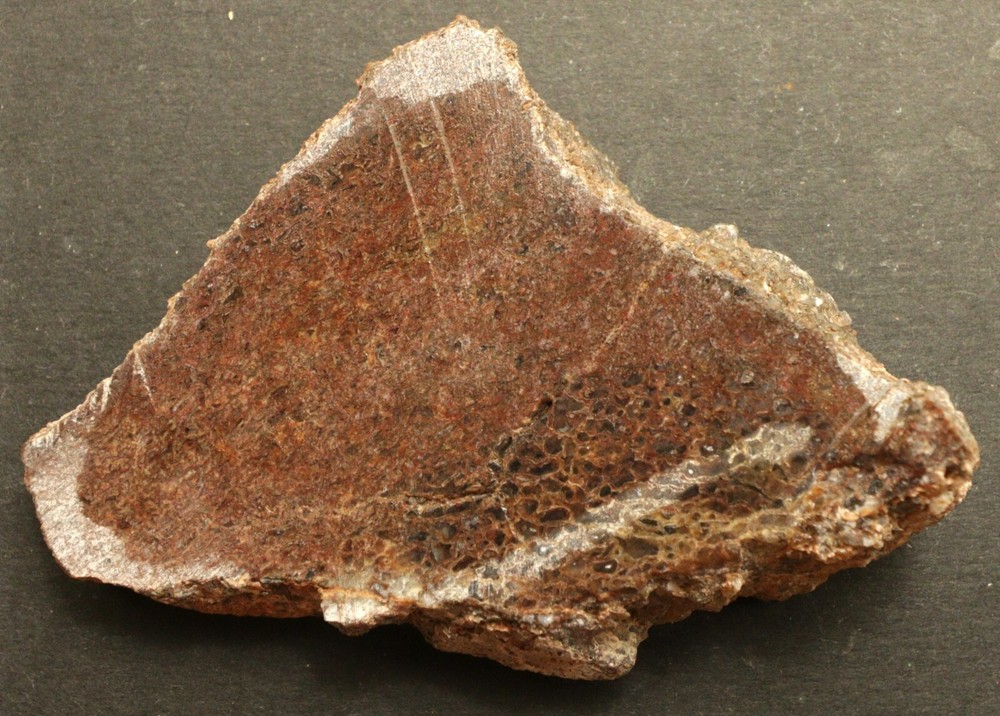 JG Agatized Gem Dinosaur Bone Slab 108.6 grams 011