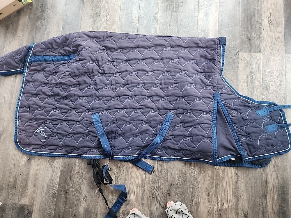 Horse Blanket