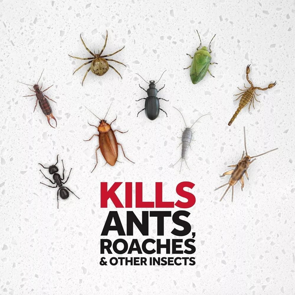 Raid Ant & Roach Killer Spray For Listed Bugs Lavender Scent, 17.5 oz