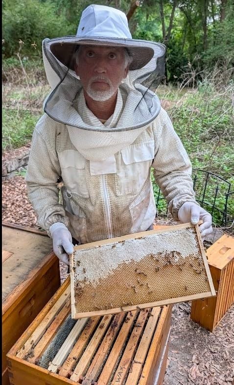 Fully Assembled Deep Beehive Frames - Wired Beeswax, Plastic-Free, 20 Pack