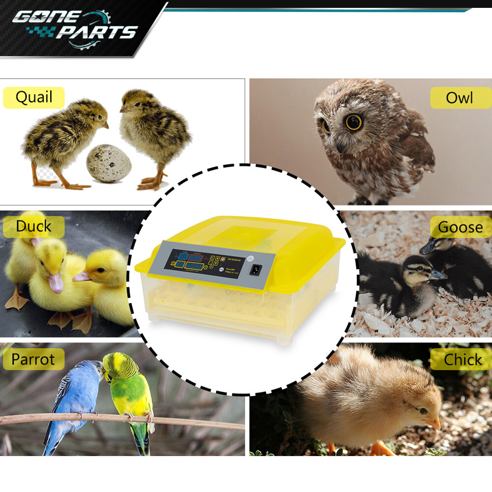 For 48 Digital Egg Incubator Hatcher Automatic Egg Turning Temperature Control