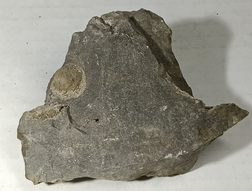 Nittany Dolomite 7 oz Pennsylvania