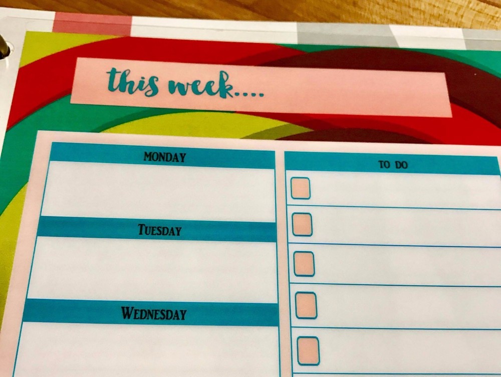 This Week Daily To Do Notes Dashboard Insert for use with HAPPY Planner