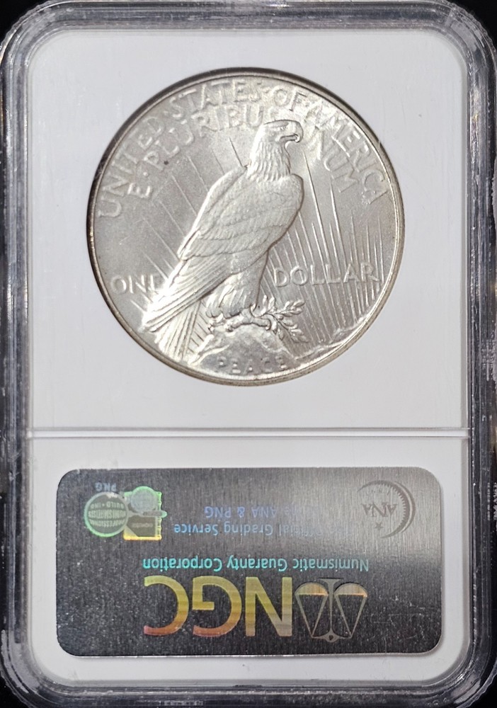 1934 Peace Dollar MS-64 NGC VIDEO