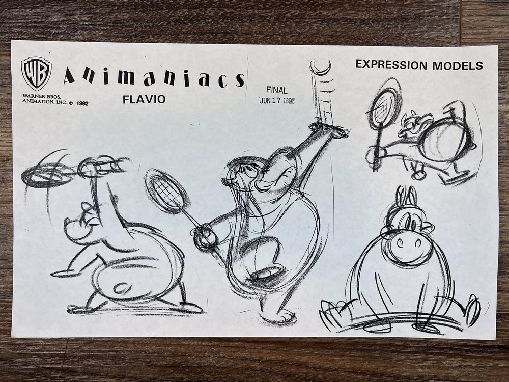 Animaniacs 1992 Production Art Expression Studio Copy Warner Brothers Animation