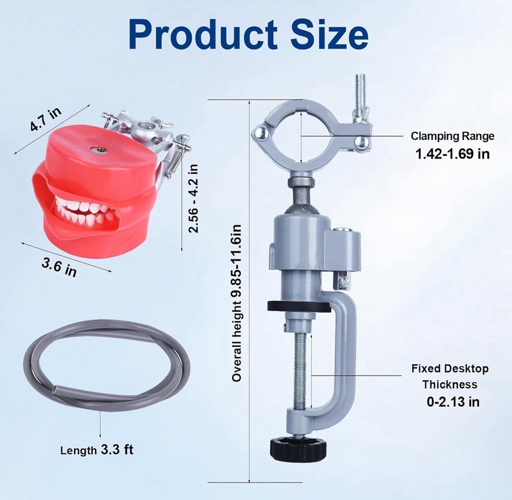 Dental Typodont Training Model Mount Kit