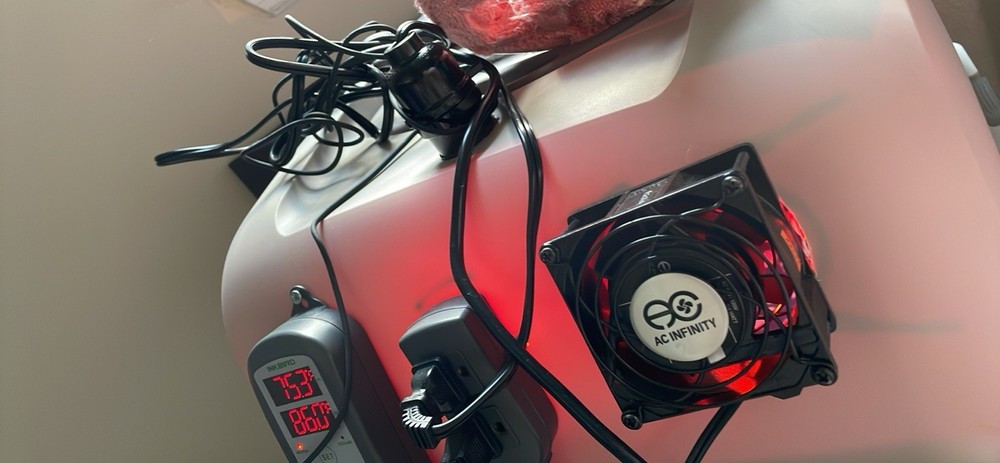 Puppy Incubator With Temperature Control
