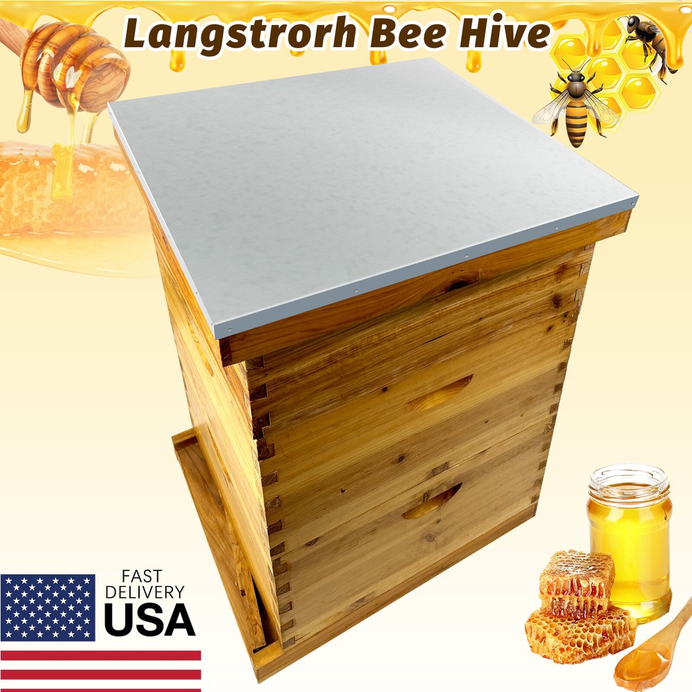 3 Layer Beekeeping Starter Hive Kit 2 Deep 1 Medium