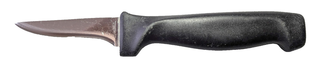 Compact Utility Kitchen Knife 2.5" Blade Stainless Taiwan