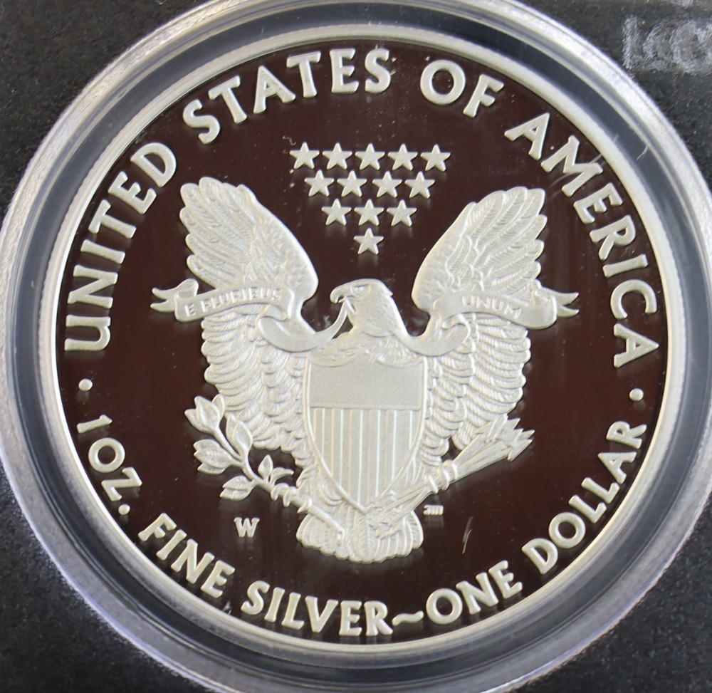 2008-W American Eagle PCGS PR69DCAM