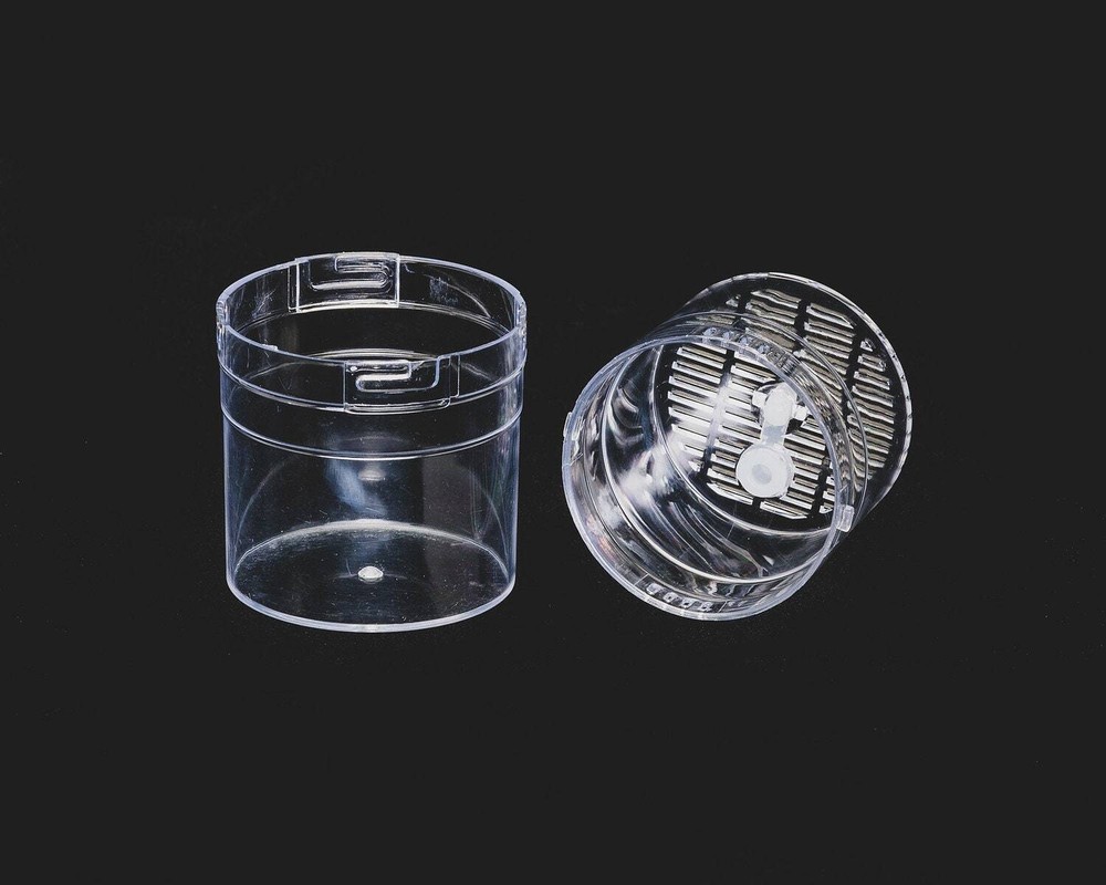 Small Arboreal Spiderling Container
