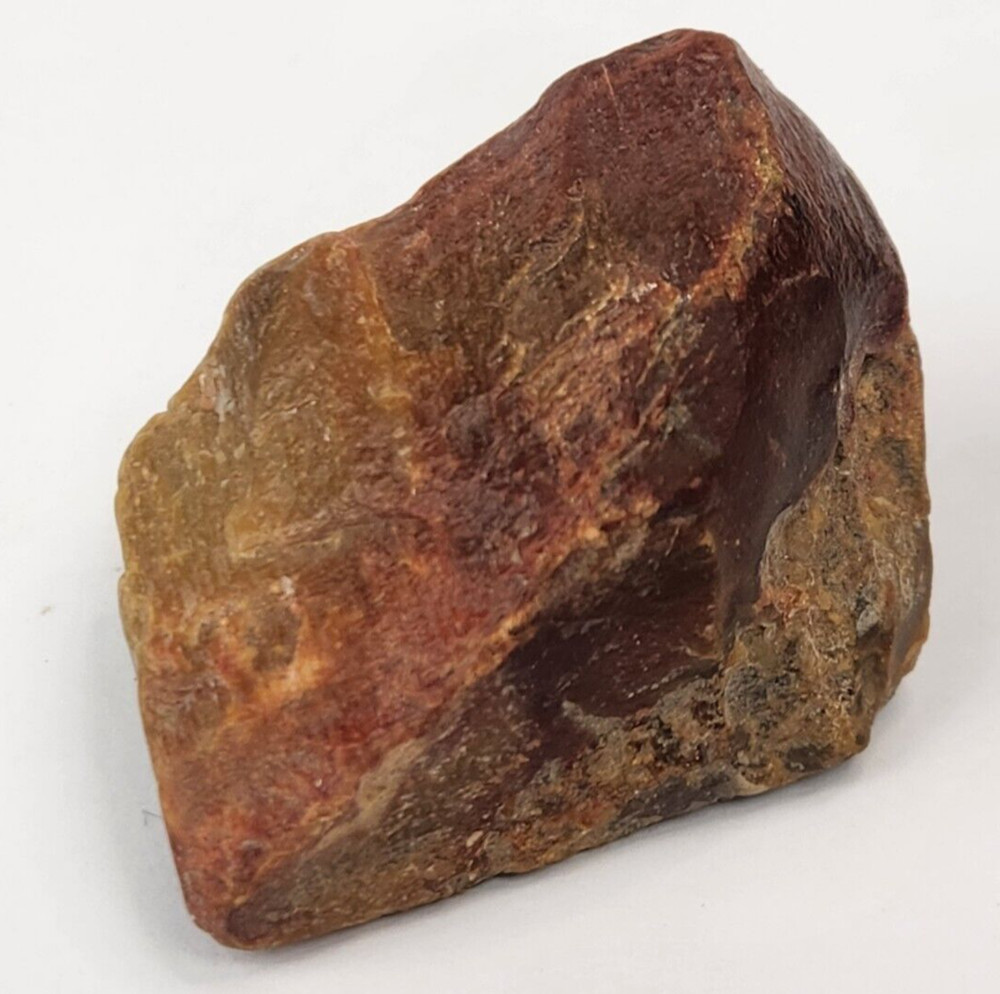 Petrified Wood - Eocene - Jackson Group (?) - Grimes Co., TX