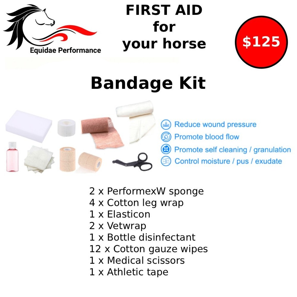 Horse First Aid Kit