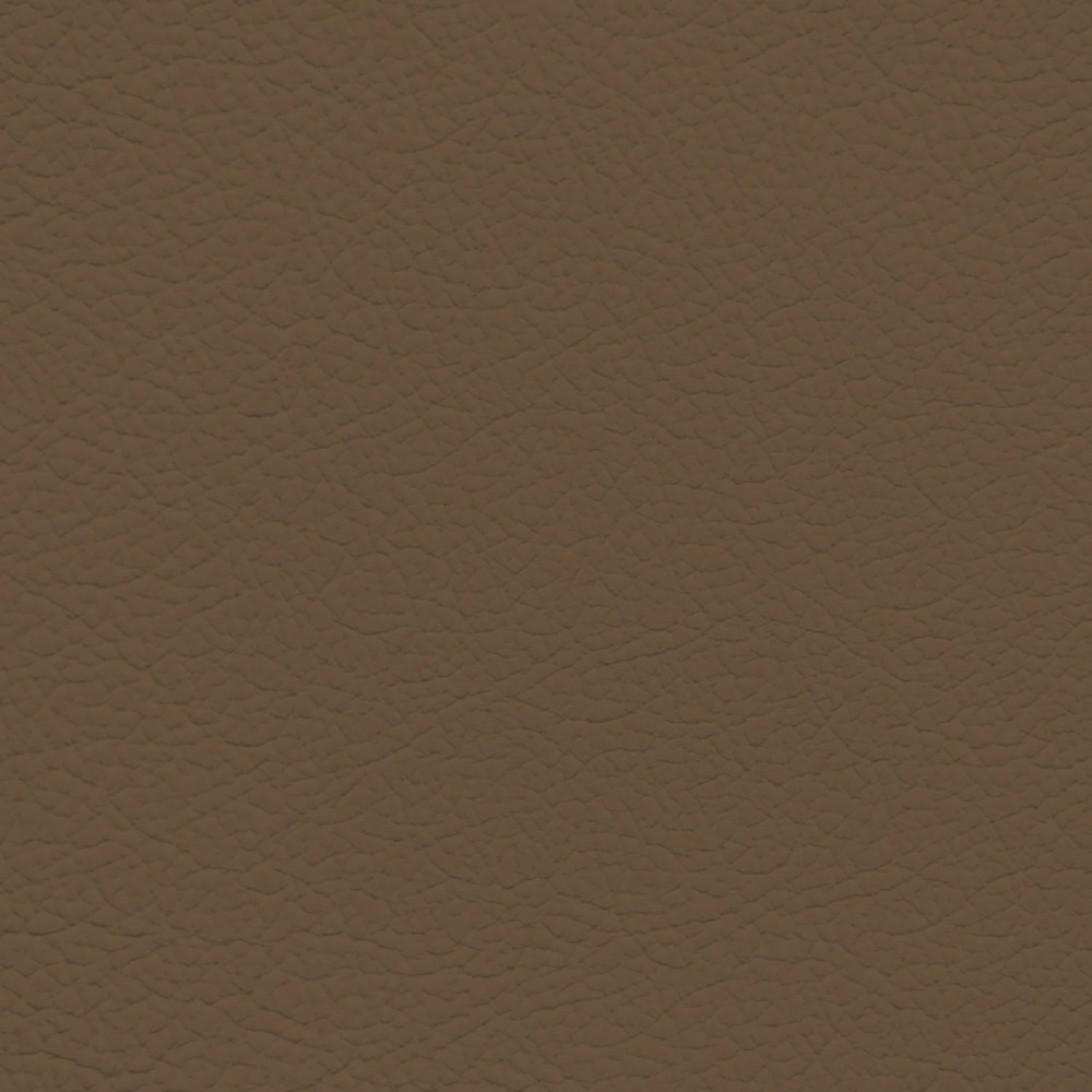 Jaguar Buckskin Leather Dye