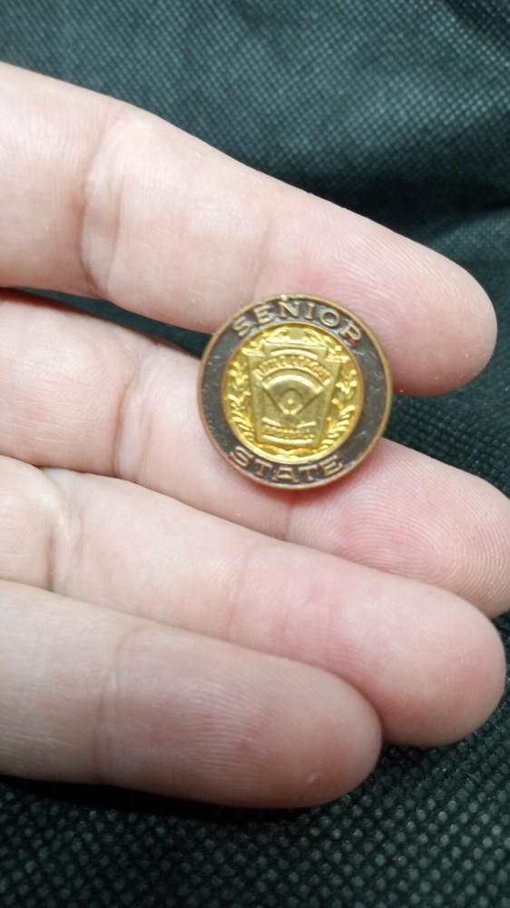 Senior State Little league baseball pin