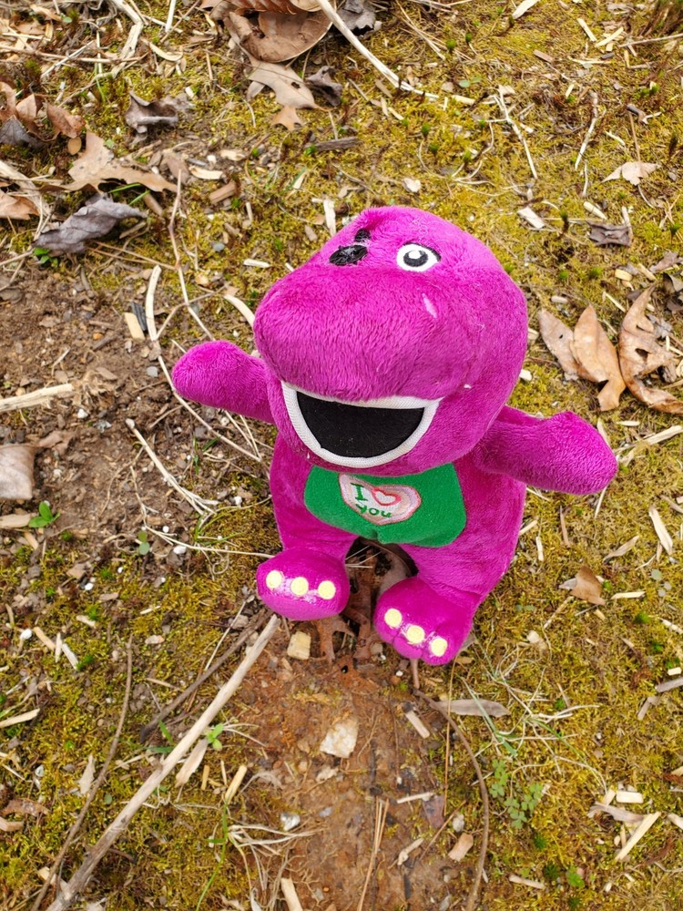 Haunted Stuffed Animal