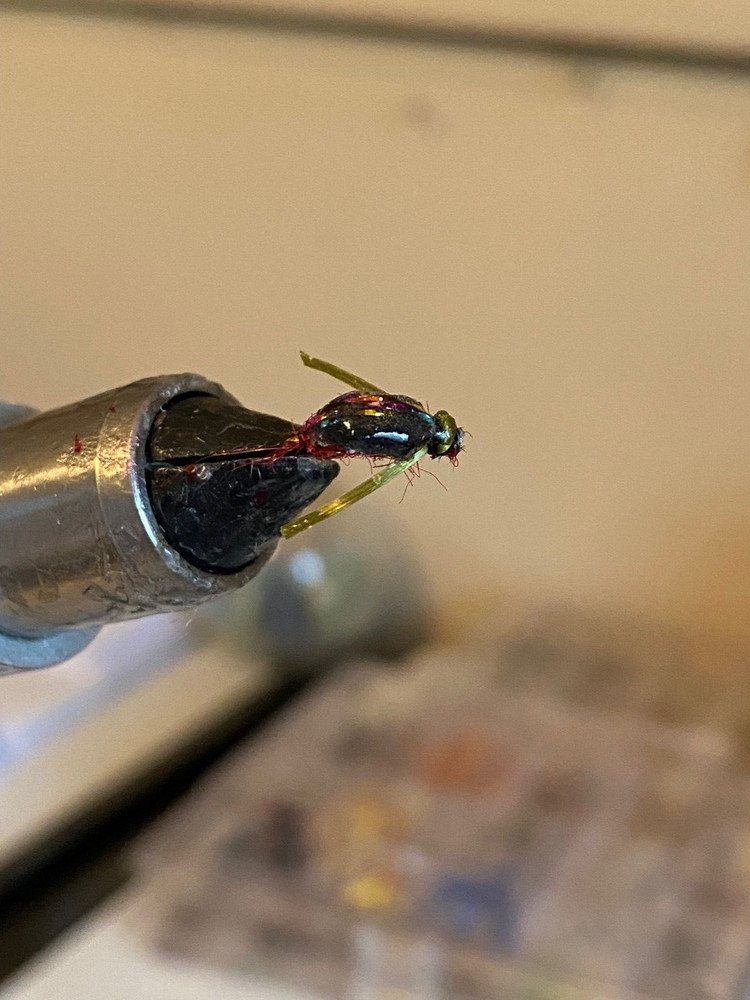 Water Boatman Size 12