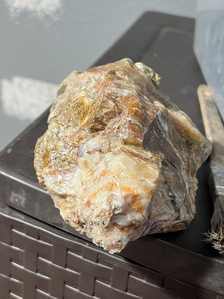 agatized or opalized petrified wood.