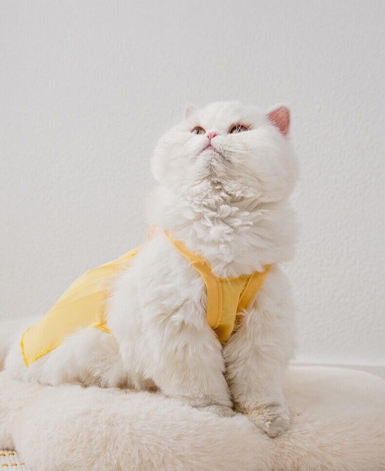 Cat spring summer floral cute cool vest