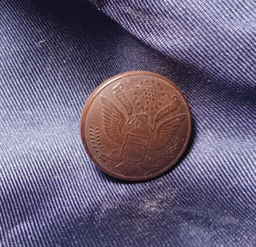 US ARMY WW1 Vegetable Ivory pocket button, 1