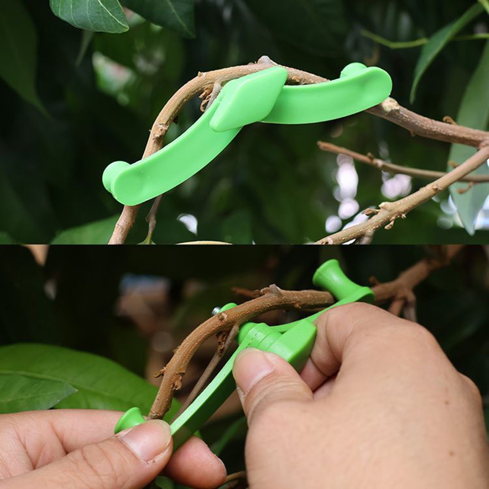 Limb Spreaders Adjustable 5Pcs Fruit Tree Branch Spreader New Branch Spreader