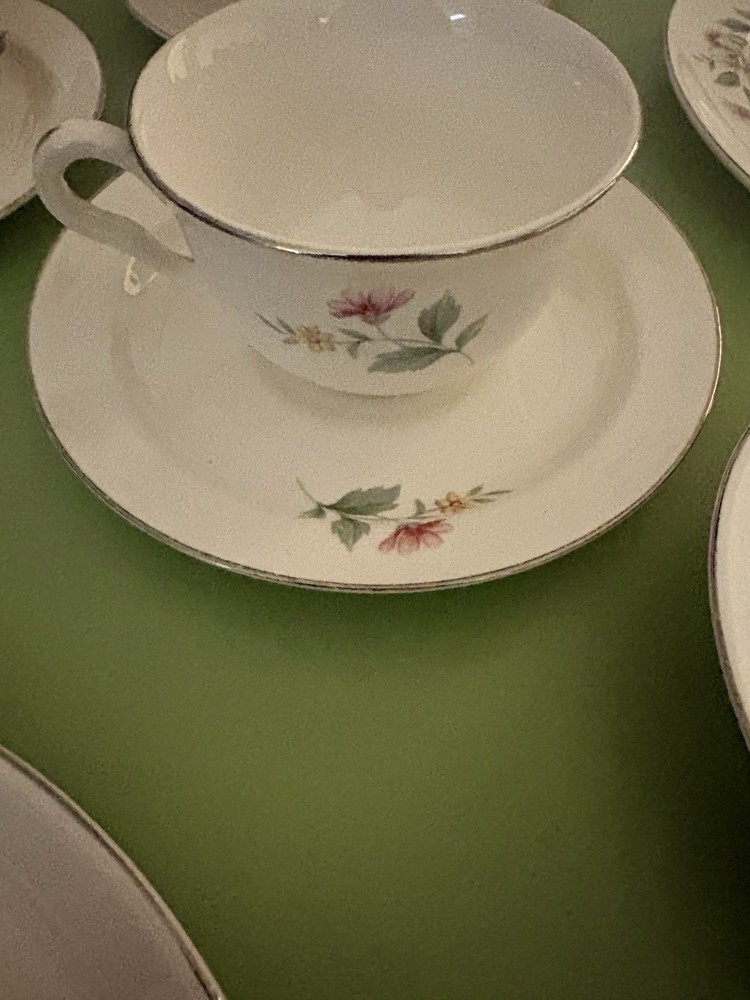 Vintage 1950-60's Superior Hall Dinnerware Set-Springtime Pattern