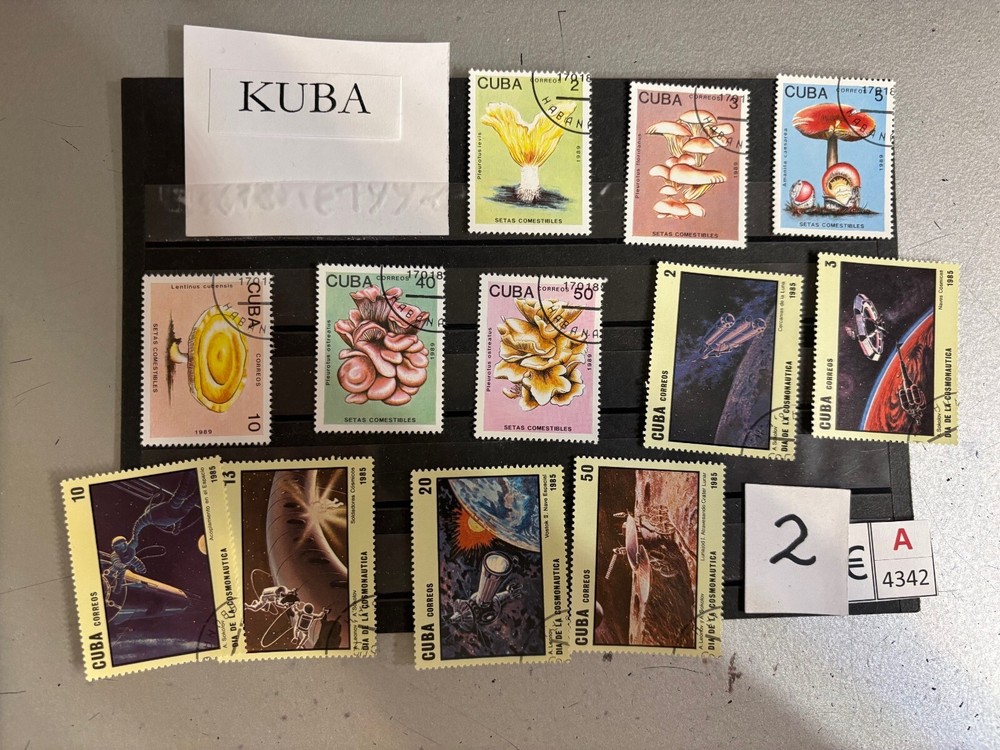 A-4342 CUBA THEME