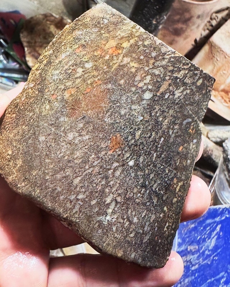 Dinosaur bone rough slab.