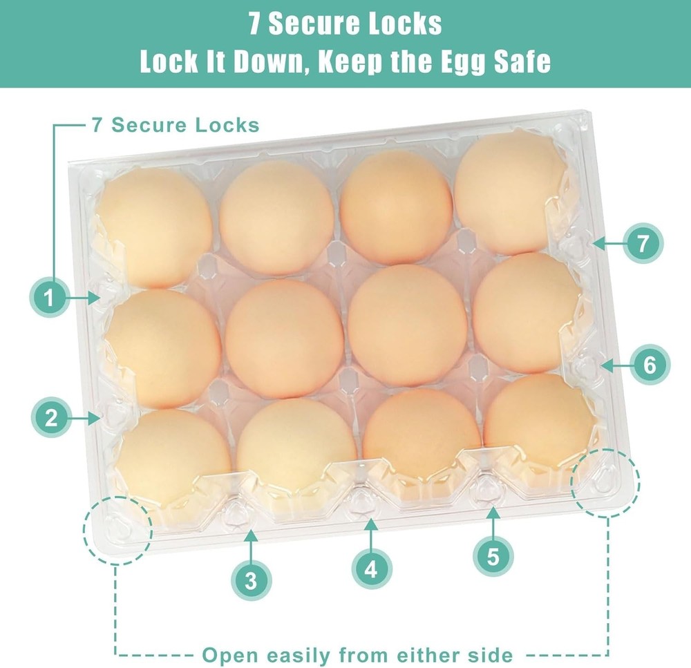 100 Pack Egg Cartons Bulk, Clear Plastic 12-Egg Cartons (3×4), Stackable Egg Con