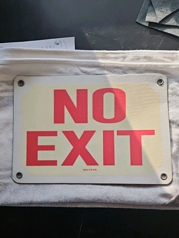 GM 33999 NO EXIT Sign. Glows in dark
