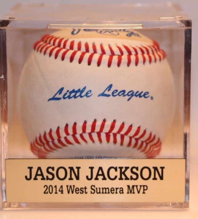 Custom Baseball Cube Display Case Nameplate .75" x 3.0" Name Plate