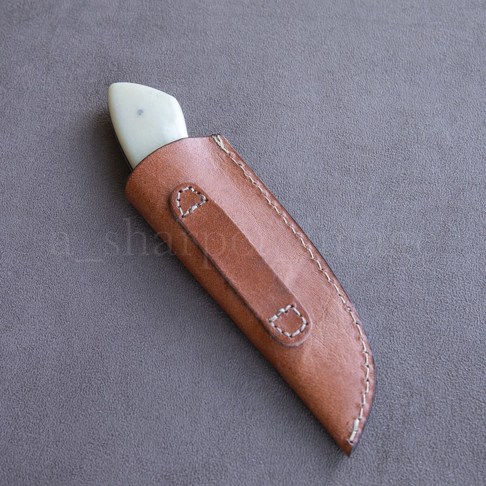 7” Stainless Steel Skinner SHARP Camel Bone Handle + Leather Sheath Rugged