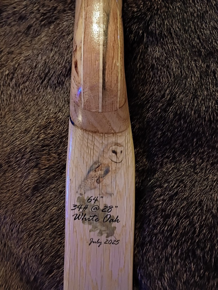 American Flatbow "Barn Owl"🦉