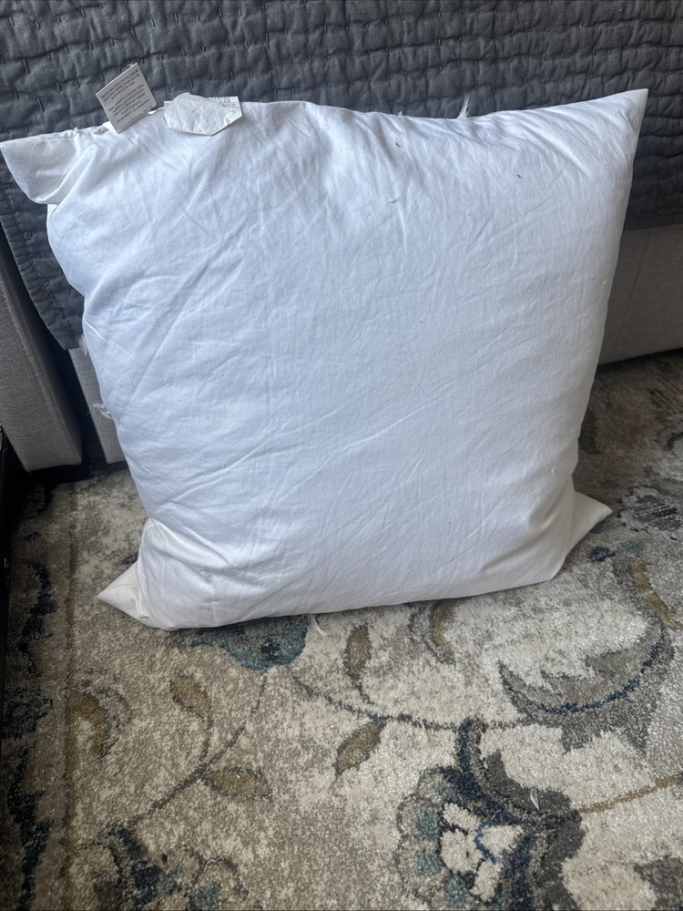Feather Pillow Insert 22 X 22" -Pottery Barn #8928854 - Barely used