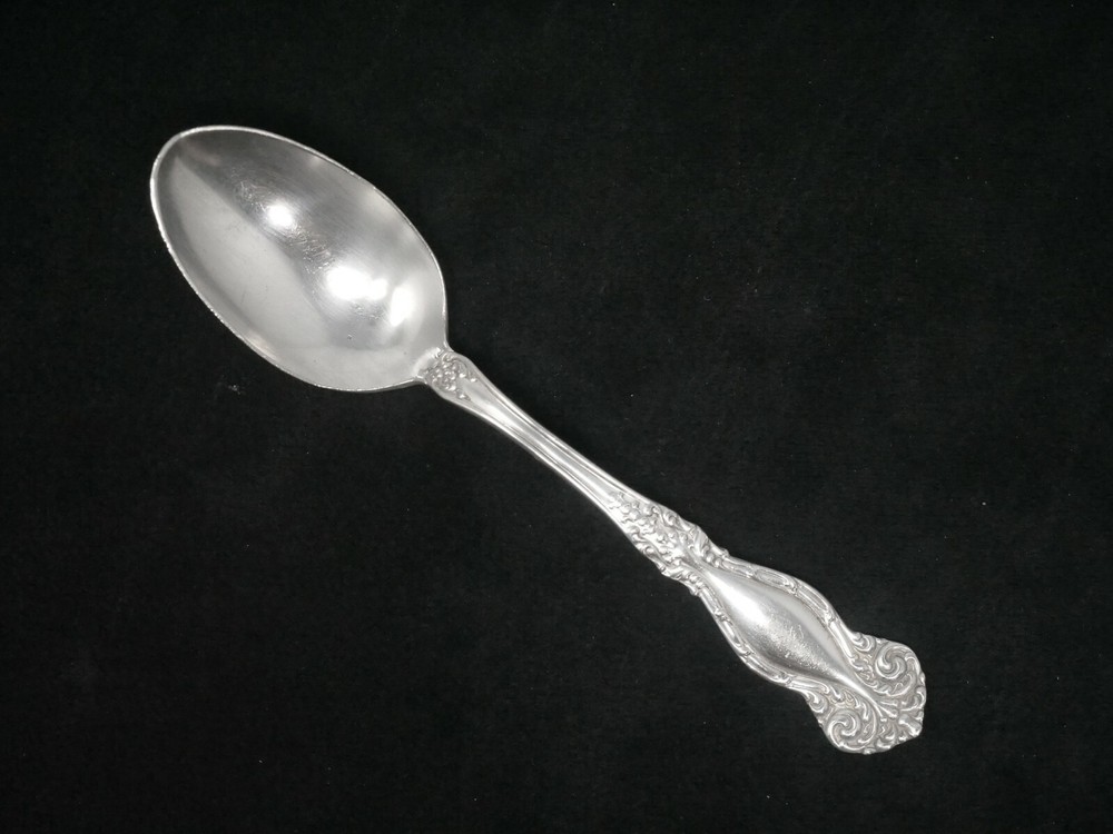Rogers Newton/Raleigh Teaspoon. NO Monogram. 6" See Note