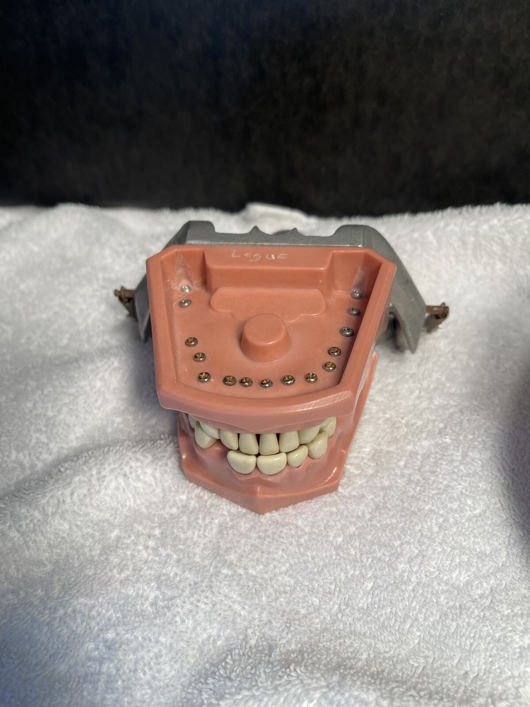Dental Vintage Periodontal Study Models