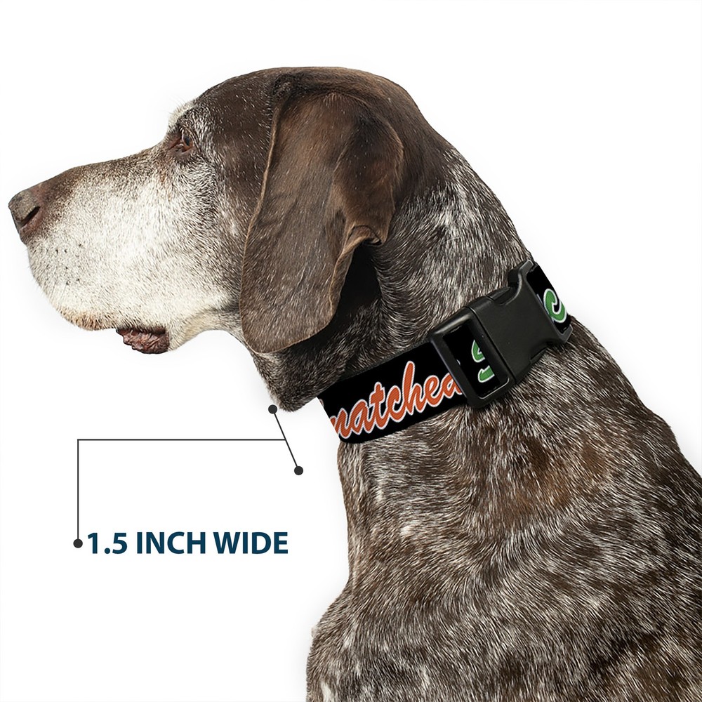Plastic Clip Collar SNATCHED Script Black/Multi Color NARROW-Small 7-8.5"