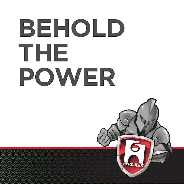 Haymaker Tankless Water Heater Descaler