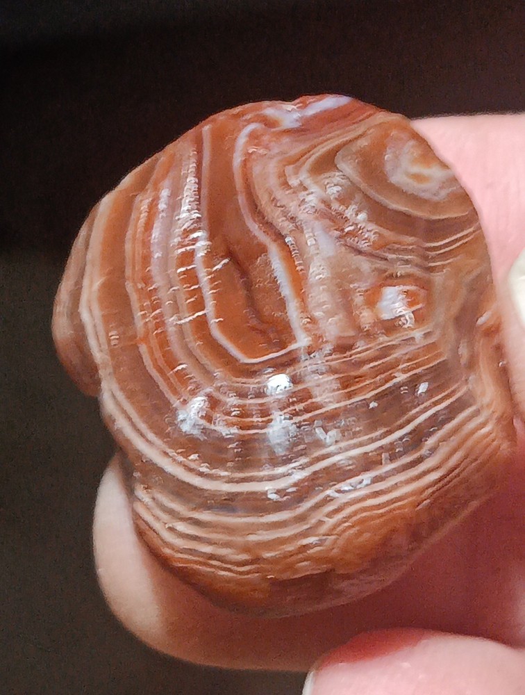 Lake Superior Agate, Solid Banding .92oz