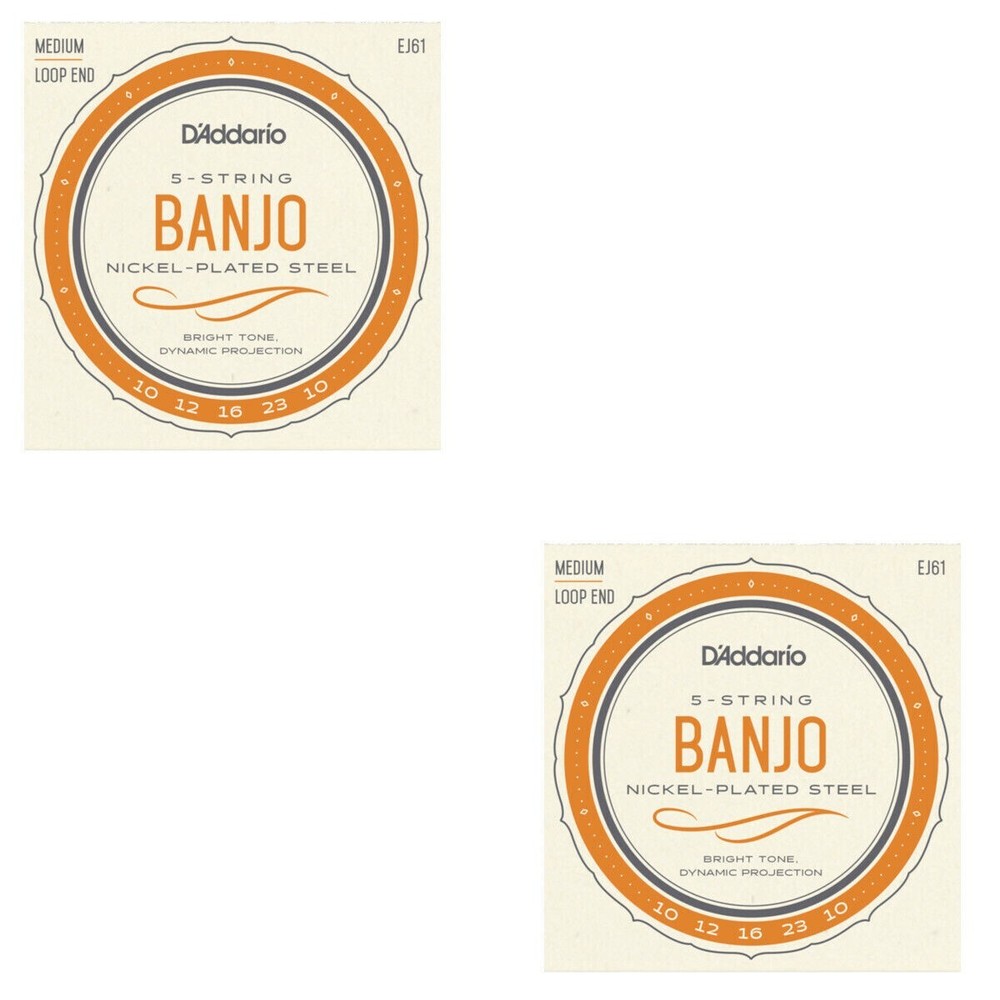 D'Addario Banjo Strings 2 Sets Nickel Steel Loop End Medium EJ61