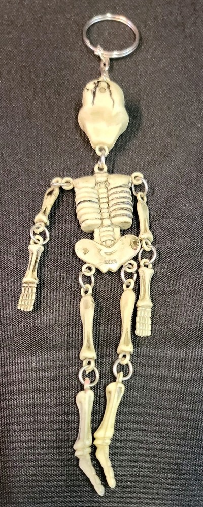 10 Piece Skull Lot