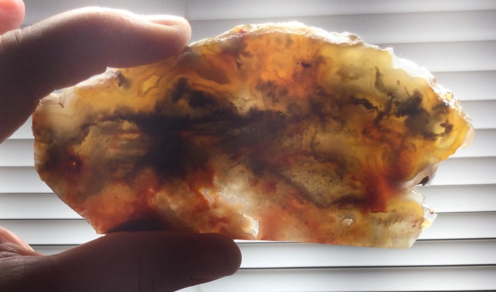 Opalized Agate rough slab for cabbing. Mesmerizing! #OA-002