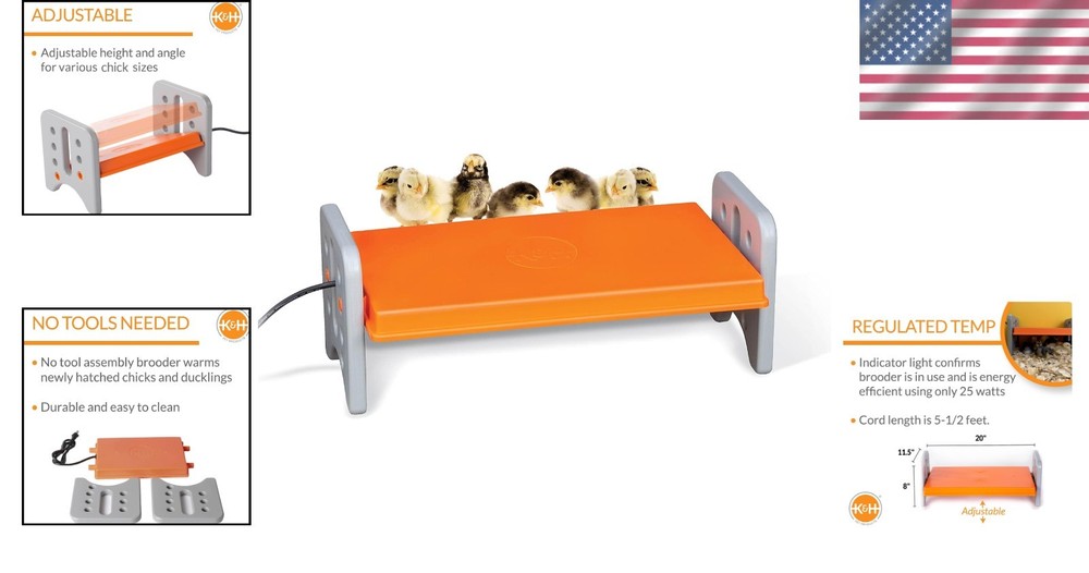 Large Chicken Brooder Heater - Adjustable Height, Safety Approved for 30 Chicks