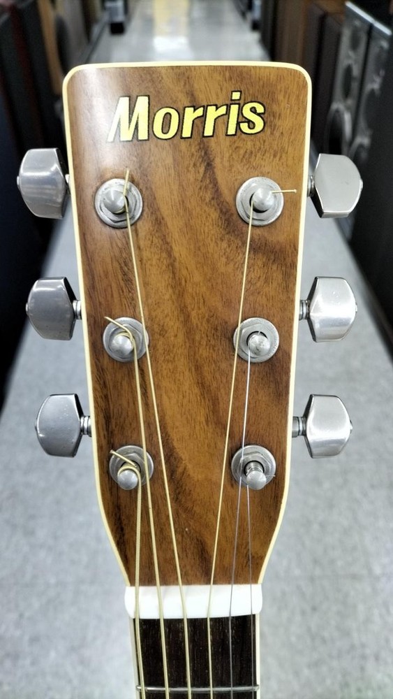 MORRIS MD-510 Acoustic
