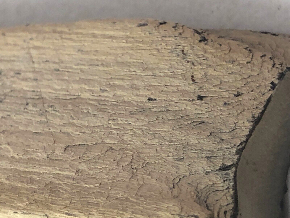 Petrified Wood 2.5 oz.