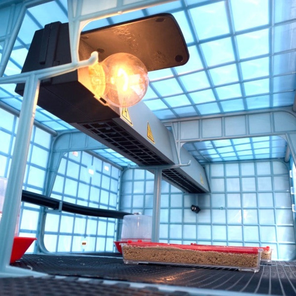 Chick Brooder - 4 Layer H: 9.5"