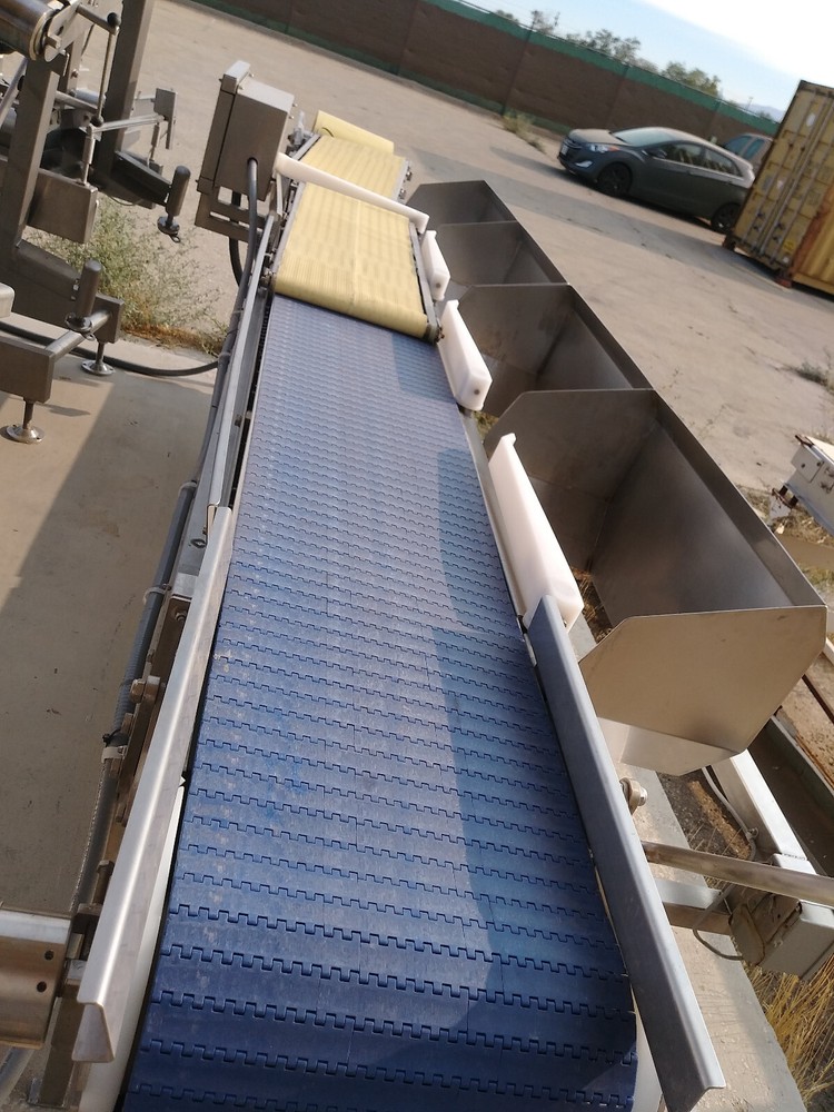 AEW DELFORD SORTING CONVEYOR 920-04