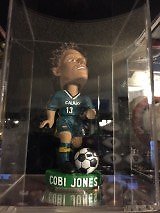 Bobblehead / Figurine Display Case with Wall Mount and Black Back (A016-BB)