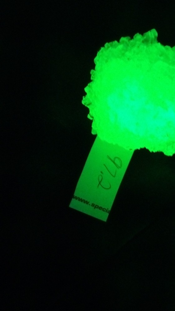 Kryptonite Crystal Specimen Green Glow UV Reactive