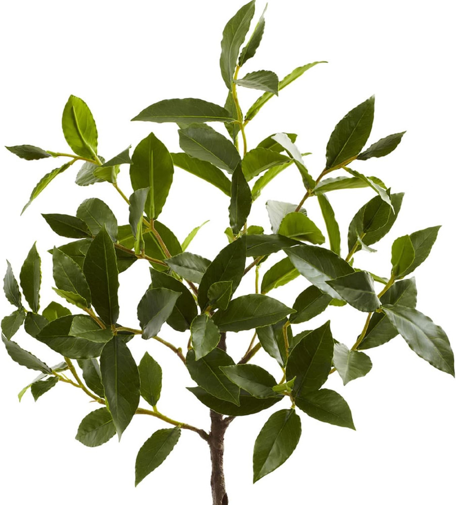 29In. Topiary with Decorative Planter